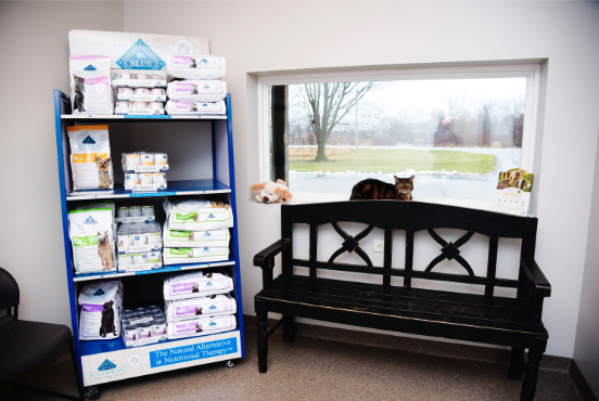 Milford Animal Clinic Offers Range of Services for Small & Large Animals -  Towne Post Network - Local Business Directory