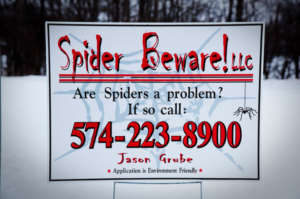 Spider Beware