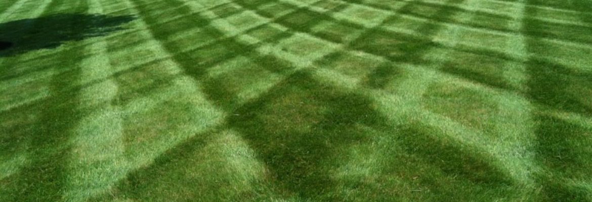 Lawn & Landscaping