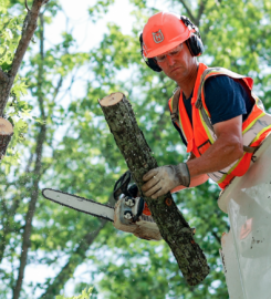LumberJack Jim Tree Service – Warsaw