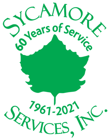 Sycamore Services
