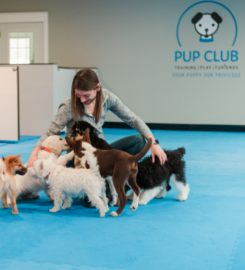 Pup Club – Carmel