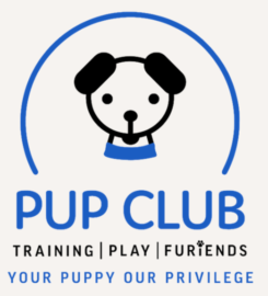 Pup Club – Carmel