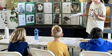 Paws, Wings & Other Things