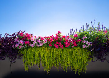 Floral Phenomenon – Bridge of Flowers