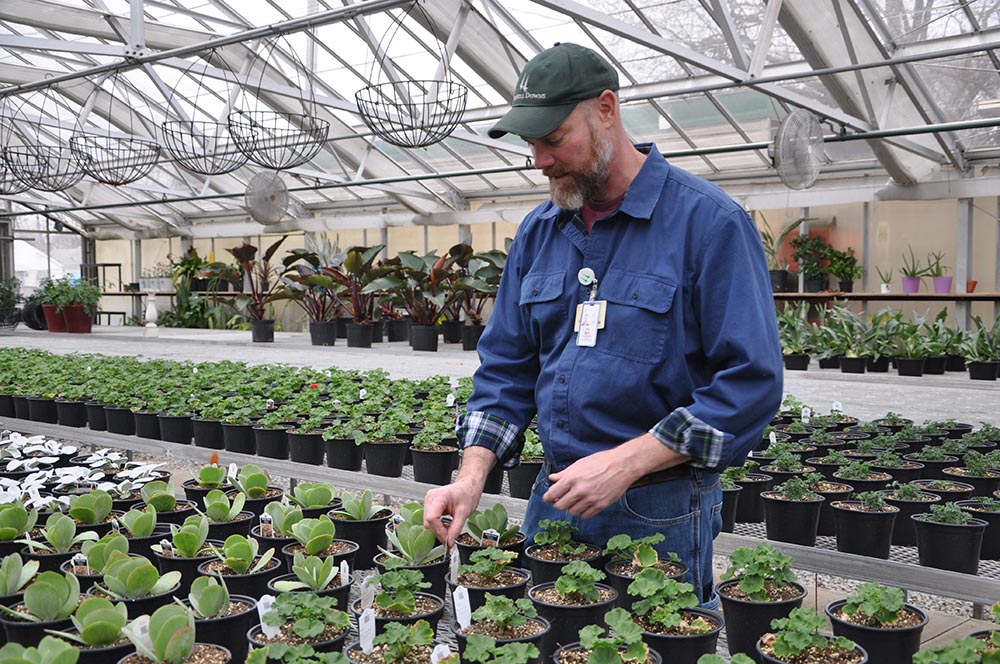 Matt Bizzell in the 12,000-square-foot greenhouse