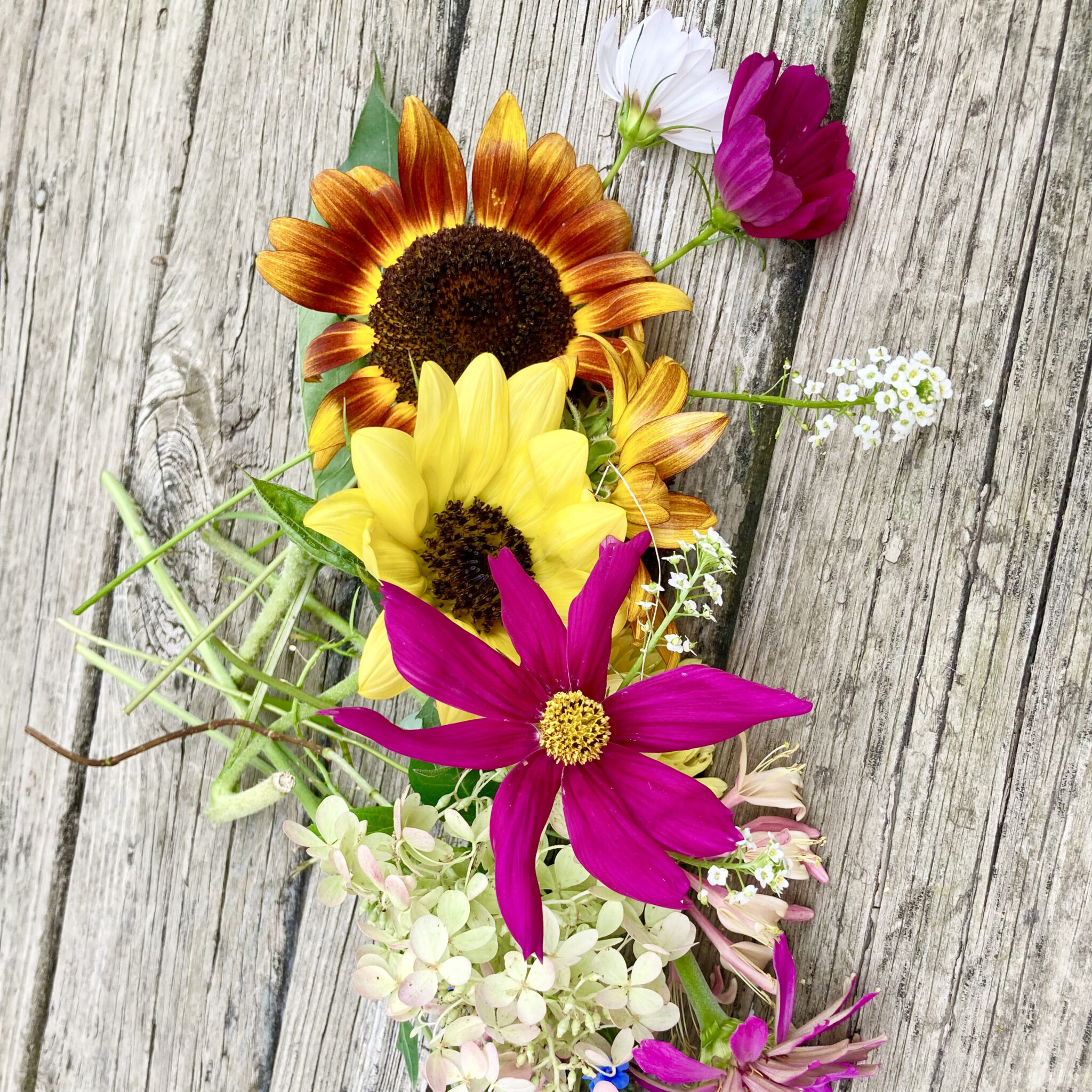 Floral arrangement on plans