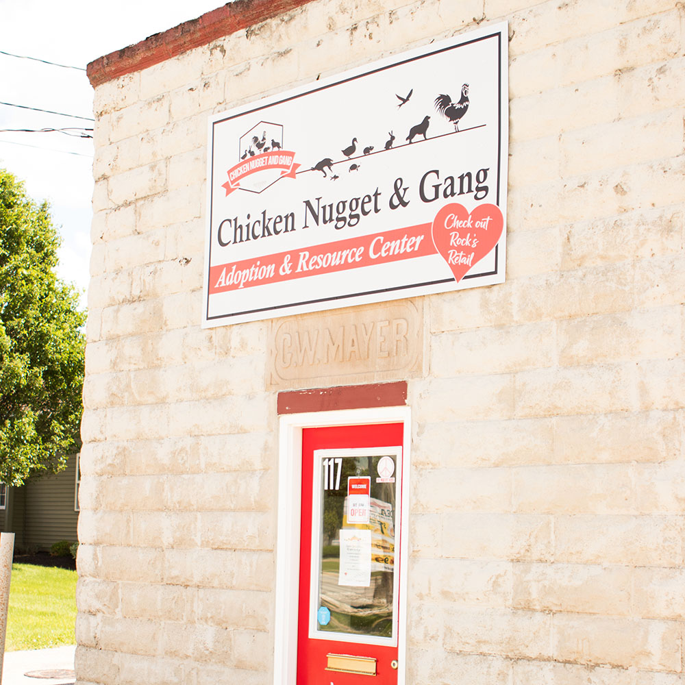 Entrance to Chicken Nugget and Gang rescue