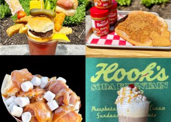 Indiana State Fair food offerings 2024