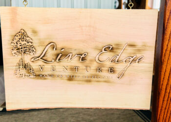 Bringing New Life with Live Edge Venture