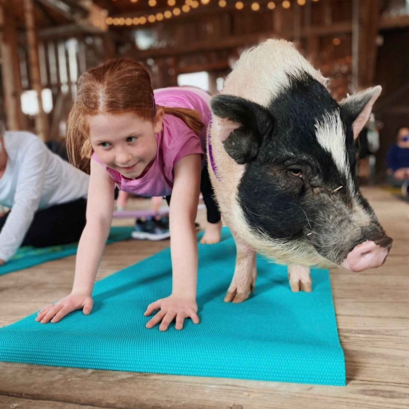 Kid doing yoga with a hog