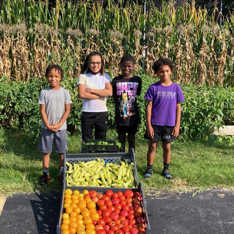 Kids at an orchard