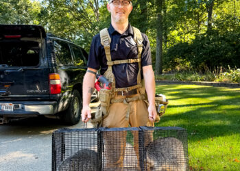 Drake’s Wildlife Services Humanely Relocates Nature’s Intruders