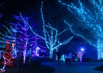 White River State Park Offers Abundant Holiday Excursion Options