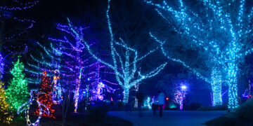 White River State Park Offers Abundant Holiday Excursion Options