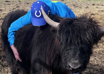 Townin’ Around: Woolly Yak Ranch & Winery