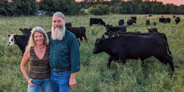 Hays Family Farm Practices Regenerative Ag for the Health of the Land