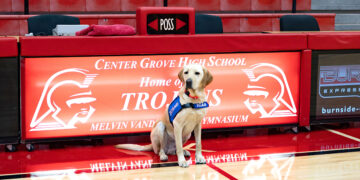 Meet Hopper, the New Facility Dog for Center Grove Schools
