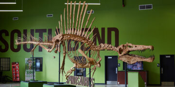 Unearthing Adventure: South Bend’s Newest Attraction Offers a Roaring Good Time