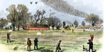 Requiem for the Passenger Pigeon