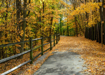 Cardinal Greenways Connects and Closes the Gap