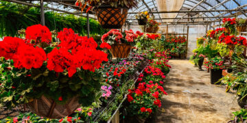 The Country Garden Center Celebrates 25 Years with Spring Gardening Tips