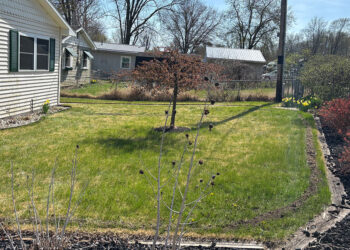 Canine Containment Crew