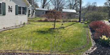 Canine Containment Crew