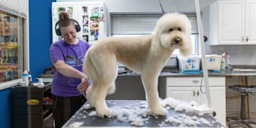 Paws & Play Dog Resort and Training Center Redefines Pet Care