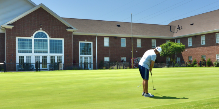 Revitalizing History