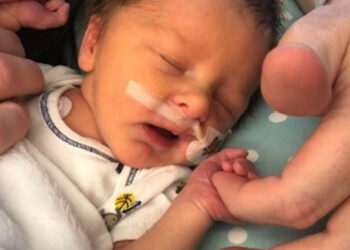 Nonprofit Spotlight: The Milk Bank