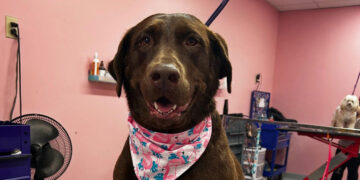 Puptown Girl Keeps Canines Coifed in Hamilton County