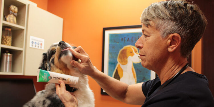 Tartar Shield® Innovation with Teeth