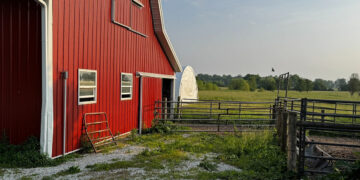Chris Baggott’s Tyner Pond Farm Leads Regenerative Agriculture Movement