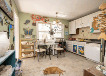 The Wandering Peacock