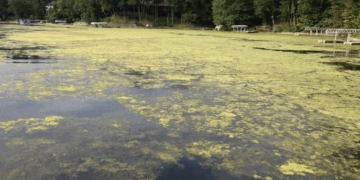 Geist Reservoir Treatment Summary 2025