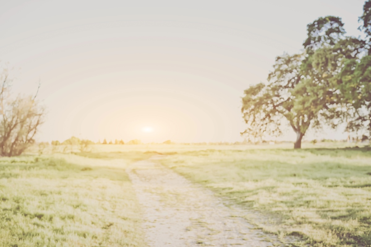 Blurred Nature Background with Instagram Style Filter