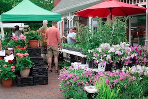 In the foreground, vibrant displays of pink, purple, and white petunias and other potted garden plants are arranged on white tiered tables. A large red umbrella provides shade for the floral section on the right. In the center, several customers browse the aisles of plants under a bright green pop-up tent. To the left, more potted flowers, including bright pink begonias, sit on black nursery crates. The background features a white-latticed building with people milling about on a brick-paved patio under the shade of mature green trees.