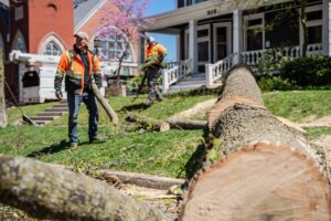 A close-up view of a large, thick tree trunk that has been cut into sections, resting on a green lawn in a residential area. In the background, two professional tree removal workers in bright orange safety vests are busy cleaning up smaller branches. A white truck with a wood chipper is parked on the street near a house numbered 505. The scene is set in a neighborhood with a historic red-brick church visible in the background under a clear blue sky.
