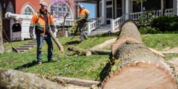 A close-up view of a large, thick tree trunk that has been cut into sections, resting on a green lawn in a residential area. In the background, two professional tree removal workers in bright orange safety vests are busy cleaning up smaller branches. A white truck with a wood chipper is parked on the street near a house numbered 505. The scene is set in a neighborhood with a historic red-brick church visible in the background under a clear blue sky.