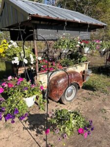 A rustic outdoor garden display featuring a weathered, antique truck bed repurposed as a flower planter. The rusted brown truck body is filled with vibrant pink and purple flowers, and several white hanging baskets of petunias are suspended from a corrugated metal roof structure overhead. A chalkboard sign is visible at the back of the booth, all set in a sunny, rural landscape at Hannah's Country Road Greenhouse.