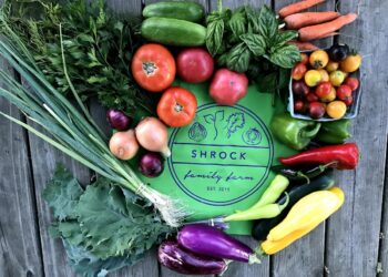 A vibrant overhead shot of various fresh-harvested vegetables arranged around a green circular logo for Shrock Family Farm. The colorful bounty includes large red tomatoes, yellow and green zucchini, purple eggplants, green peppers, carrots, green onions, kale, and a container of multi-colored cherry tomatoes. The entire display is set on a rustic wooden deck.