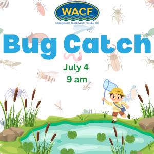 A colorful event flyer for a "Bug Catch" hosted by the Wawasee Area Conservancy Foundation (WACF). The poster features playful illustrations of a young boy with a net running toward a lily pad pond, surrounded by cartoon insects like dragonflies, beetles, and worms. The event details are listed in large, bold blue and green text: July 4 at 9 am.