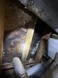 A close-up, high-angle shot taken in a dark attic or crawlspace, illuminated by a flashlight. The light reveals significant dark staining and white, fuzzy growth on the wooden roof decking and support beams, suggesting mold or water damage. Various insulated flexible ducts and metal pipes run through the foreground and side of the frame, partially obscured by shadows.