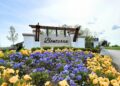 A vibrant, eye-level shot of the entrance to the Bonterra community by M/I Homes. A large, modern sign with "Bonterra" in black script is mounted on a light-colored stone wall, topped with a dark wood pergola. In the foreground, a dense field of bright yellow and purple pansies fills the frame, leading the eye toward the community entrance. An M/I Homes logo is visible on a smaller sign in the background, set against a bright, cloudy sky and lush green trees.