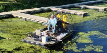 A man in a light blue long-sleeve shirt and a hat operates a flat-bottomed airboat on a waterway covered in thick green algae and duckweed. The boat is equipped with a large rear propeller in a safety cage and several white jugs, possibly containing herbicide or water treatments. A series of floating wooden docks and a grassy bank with trees are visible in the background.