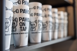 A row of white plastic cups stacked on a shelf at Paws on Tap. Each cup features the black logo of a French Bulldog head holding a beer mug, with the words "PAWS ON TAP" and "TAPROOM & BEER GARDEN" printed below. The cups in the background are softly blurred.
