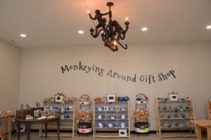 An interior shot of a brightly lit retail store display wall. The text "Monkeying Around Gift Shop" is painted in a dark, whimsical font in a gentle arch across the center of a plain beige wall. Below the sign, five wooden shelf units hold neatly stacked apparel, baseball caps, and plush monkey toys. Hanging from the ceiling in the upper-center is a unique dark metal chandelier featuring sculpted monkeys climbing on the arms between candle-style light bulbs. A round wooden table on the left displays photo frames, and a warm, clean floor runs beneath the displays.