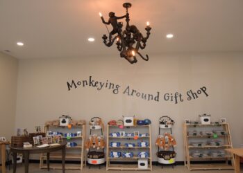 An interior shot of a brightly lit retail store display wall. The text "Monkeying Around Gift Shop" is painted in a dark, whimsical font in a gentle arch across the center of a plain beige wall. Below the sign, five wooden shelf units hold neatly stacked apparel, baseball caps, and plush monkey toys. Hanging from the ceiling in the upper-center is a unique dark metal chandelier featuring sculpted monkeys climbing on the arms between candle-style light bulbs. A round wooden table on the left displays photo frames, and a warm, clean floor runs beneath the displays.