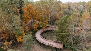 High-angle shot of a winding wooden boardwalk trail weaving through a dense forest with autumn foliage in shades of orange, yellow, and green. The boardwalk makes a sharp, semi-circular curve in the center of the frame.